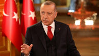 اردوغان برخی کشورهای عربی خلیج‌فارس را نیروی شر توصیف کرد