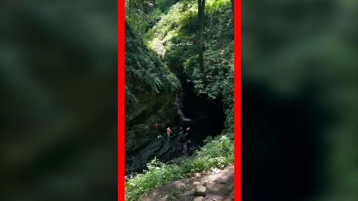 فیلم طبیعت بکر و آب های زلال ماهی مشو