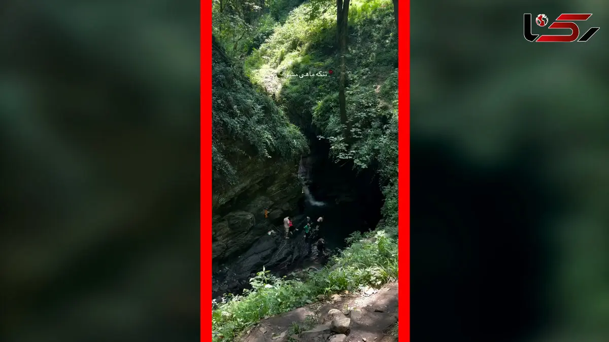 فیلم طبیعت بکر و آب های زلال ماهی مشو