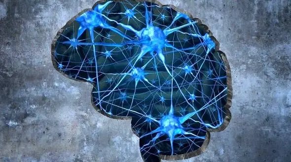 حقایقی درباره بیماری آلزایمر کشف شد