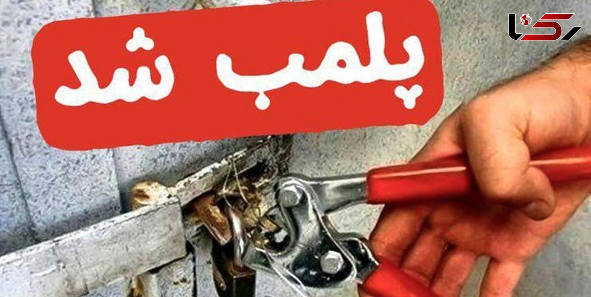 پلمپ دو واحد قصابی متخلف در شهرستان دلفان