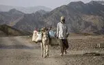  ۲۰ روستا در جاسک برای رسیدن به مرکز درمانی باید ۹۰ کیلومتر مسیر طی کنند / یک نوزاد بعد از عقرب گزیدگی در مسیر انتقال به مرکز درمانی جان باخت