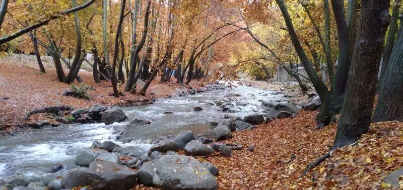 روستای برغان کجاست؟ آدرس، جاهای دیدنی و سوغات برغان