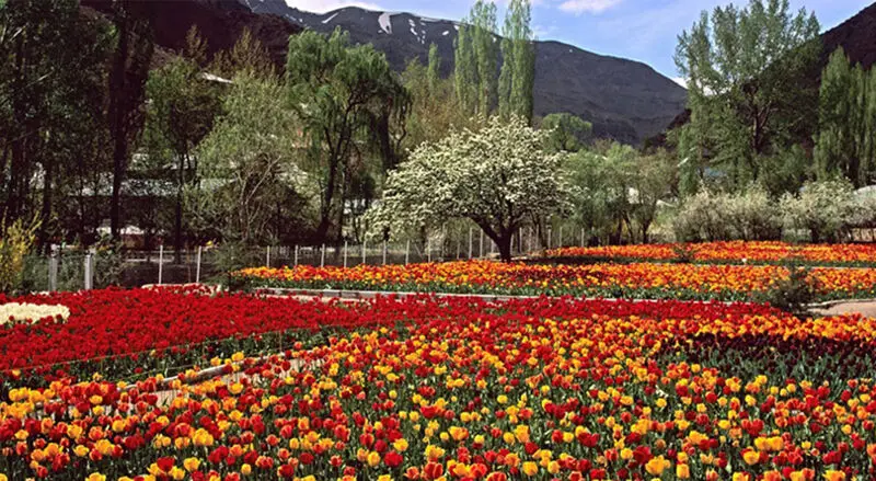 زیبایی باغ ملی گیاه_ شناسی تهران