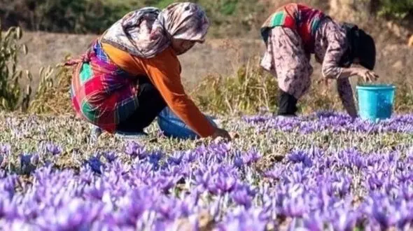 دو چهره از زیبایی ایران
