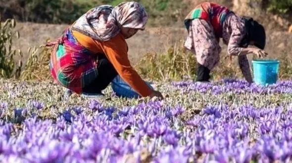 دو چهره از زیبایی ایران