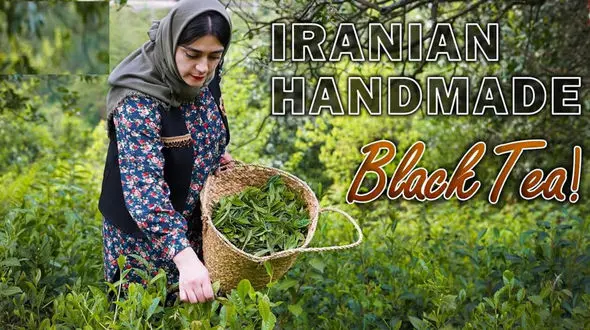غذای محلی ایران: داستانی از برگ چای تا دم‌نوش دلچسب + فیلم