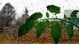 هشدار نارنجی برای باران شدید در گیلان
