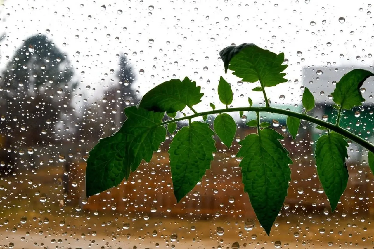 پیش بینی آب و هوای تهران و ۵ کلانشهر در ۳ روز آینده