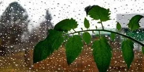 هشدار نارنجی برای باران شدید در گیلان