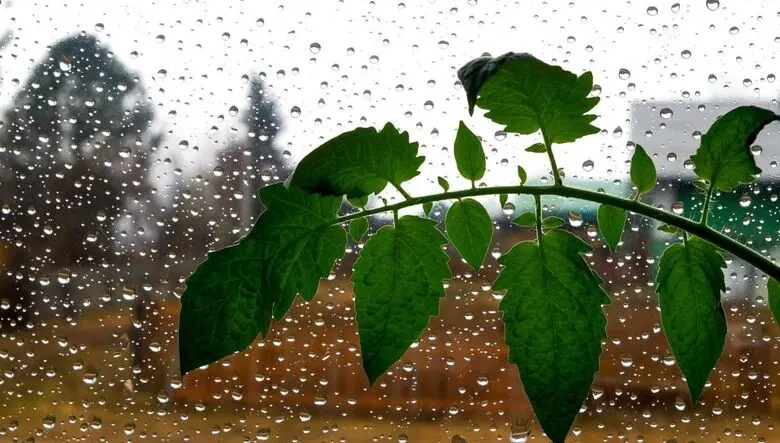  پیش بینی آب و هوای تهران و ۵ کلانشهر در ۳ روز آینده