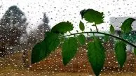 کرمان در وضعیت زرد هواشناسی؛ هشدار سیل و تگرگ