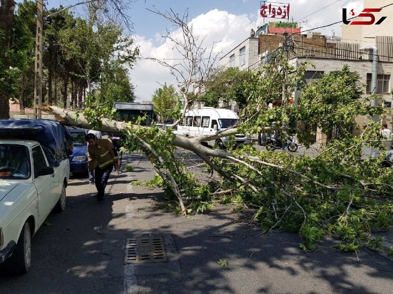 عکس حادثه با وزش باد تند در تهران