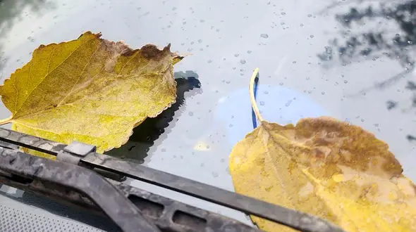 تفسیر فال حافظ 11 آذر