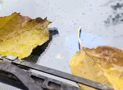 تفسیر فال حافظ 11 آذر