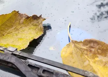 تفسیر فال حافظ 11 آذر