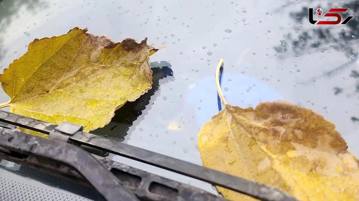 تفسیر فال حافظ 11 آذر