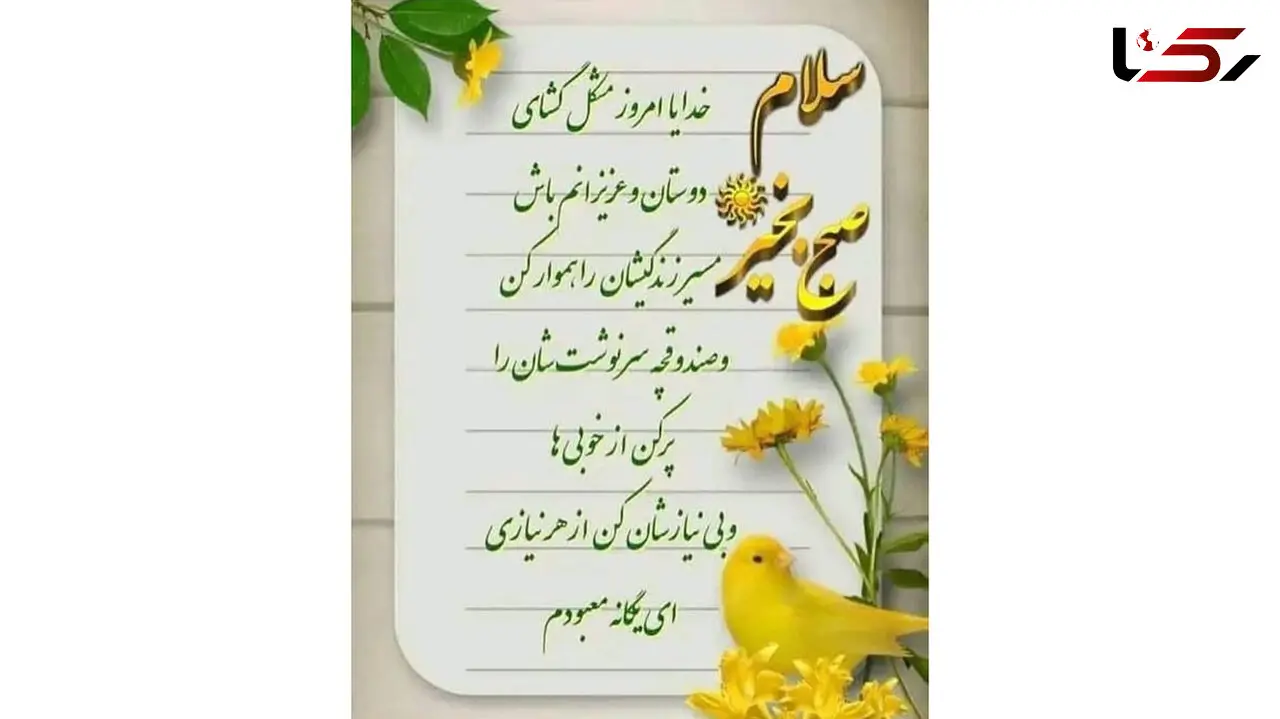 فال و طالع بینی روزانه 17 بهمن + فیلم 