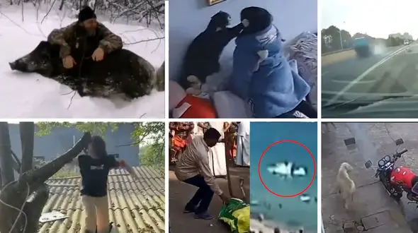 فیلم لحظه سقوط زن جوان از  پشت بام + 10 فیلم حادثه ای