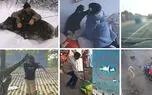 فیلم لحظه سقوط زن جوان از  پشت بام + 10 فیلم حادثه ای