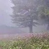 درفک و خلخال دو چهره زیبای ایران