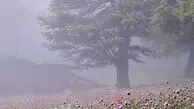 درفک و خلخال دو چهره زیبای ایران