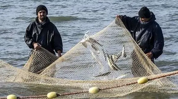 آغاز صید ماهی پس از 100 روز خانه نشینی صیادان در آستارا