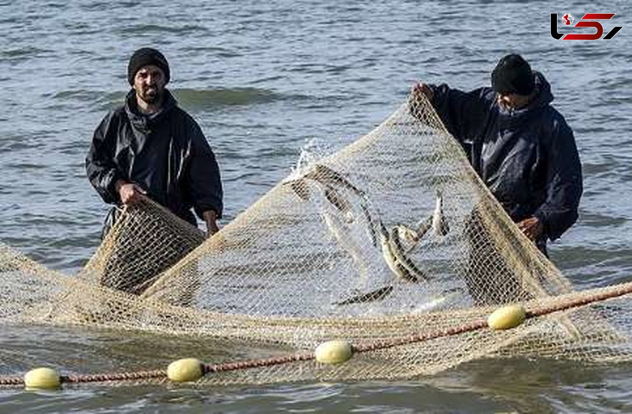 آغاز صید ماهی پس از 100 روز خانه نشینی صیادان در آستارا