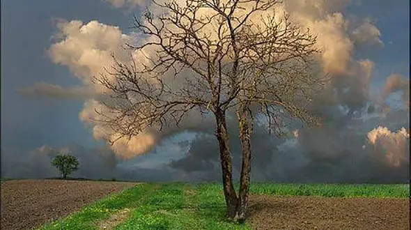 فال ابجد امروز / 14 بهمن + فیلم