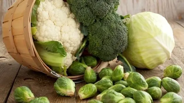 درمان بیماری کبد چرب با سبزیجات پهن برگ