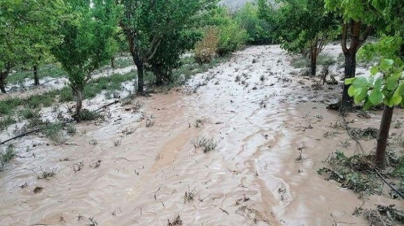 بارش شدید باران