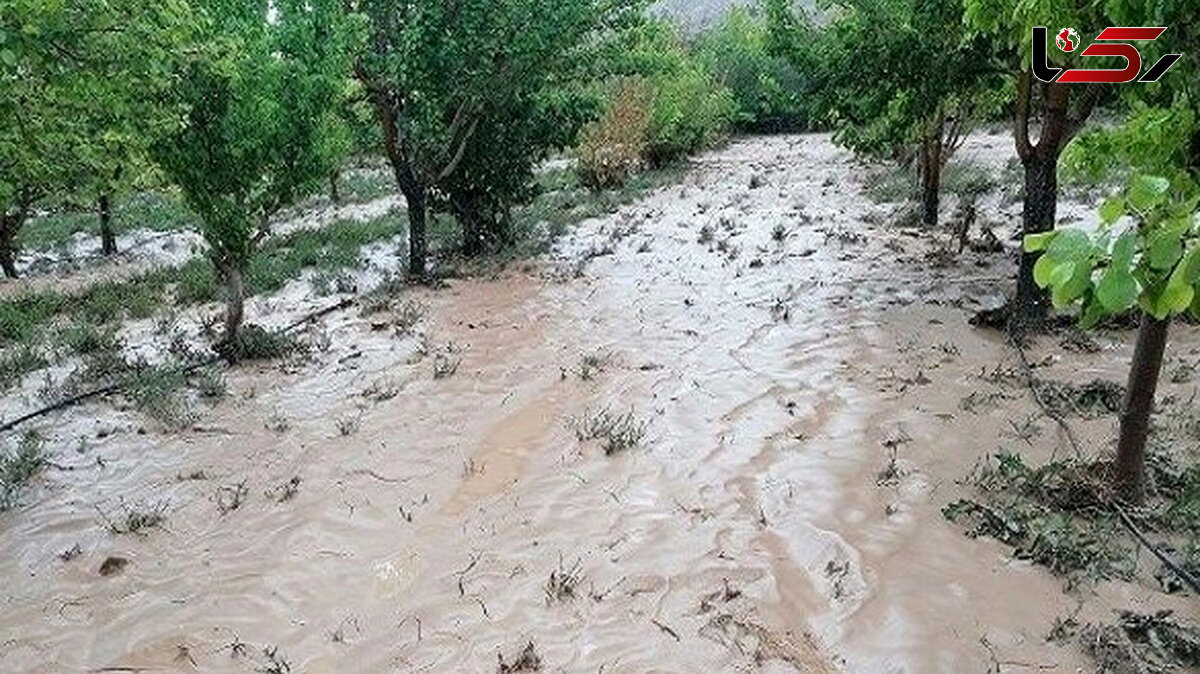 خسارت شدید به اراضی کشاورزی و باغی در پی بارش شدید