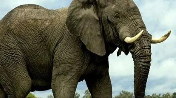 دو چهره‌ زندگی در قاب تصویر / از هم‌ نشینی بی‌صدا تا ضربه‌ی ناگهانی