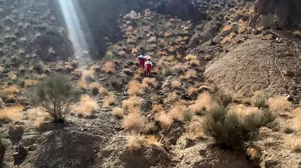 این پیرزن سربیشه را به هم ریخت ! / آماده باش فوری !