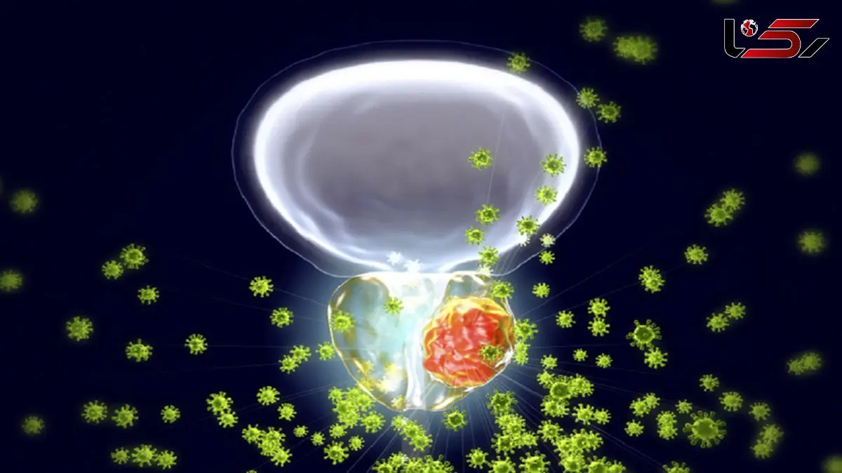 هوای آلوده، تهدیدی برای سلامت پروستات مردان