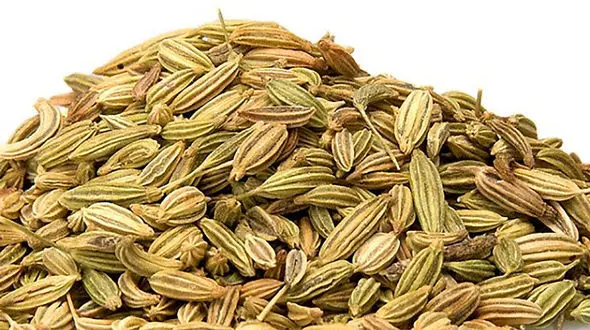  از خواص رازیانه برای زنان چه می دانید؟ 