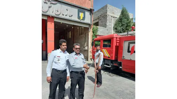 وحشت از مار بزرگ در پاساژ تجاری پیشوا + عکس