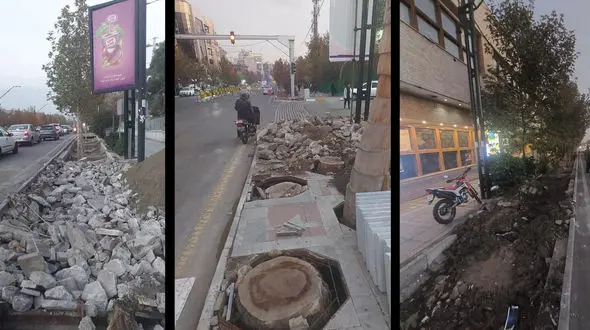 نبش قبر درختان خیابان ولیعصر / شهرداری منطقه 3: این درختان 5 سال پیش قطع شده بودند + فیلم