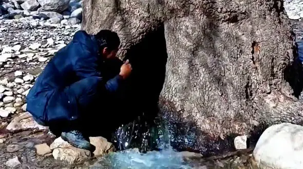 خروش چشمه از رشته کوه های زاگرس