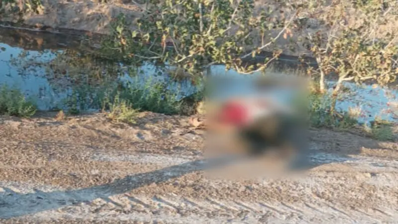 قتل عام رفسنجان