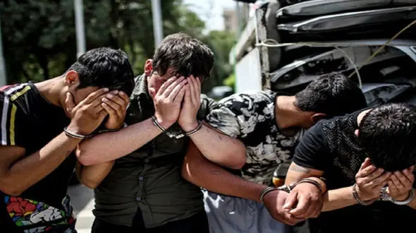 کشف و ضبط ۳۳۷ مترمکعب چوب قاچاق در تالش / ۳ محیط‌بان گیلانی مصدوم شدند