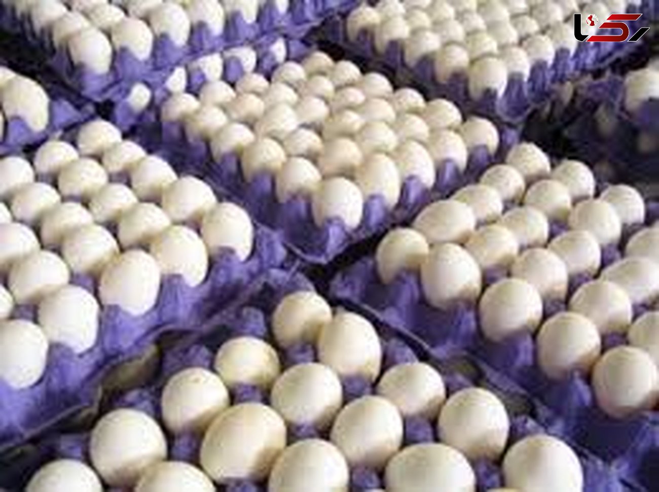نام تخم مرغ های فاسد و غیر بهداشتی اعلام شد /نخرید مصرف نکنید