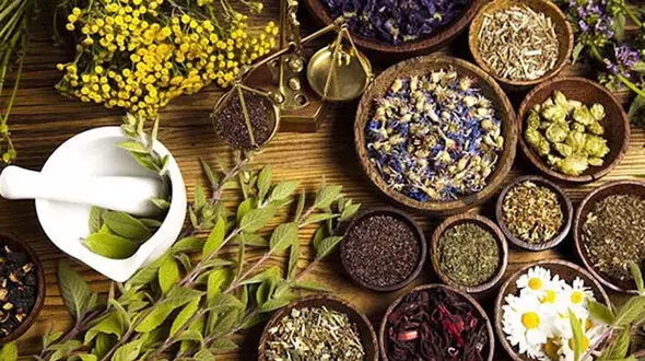 11 داروی گیاهی برای درمان فشار خون بالا