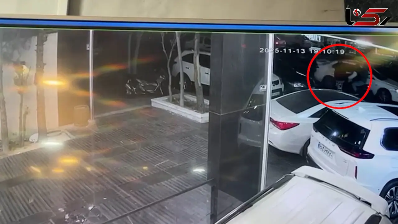 فیلم/ لحظه موبایل قاپی در سعادت آباد که دزدانش 60 دقیقه ای بازداشت شدند