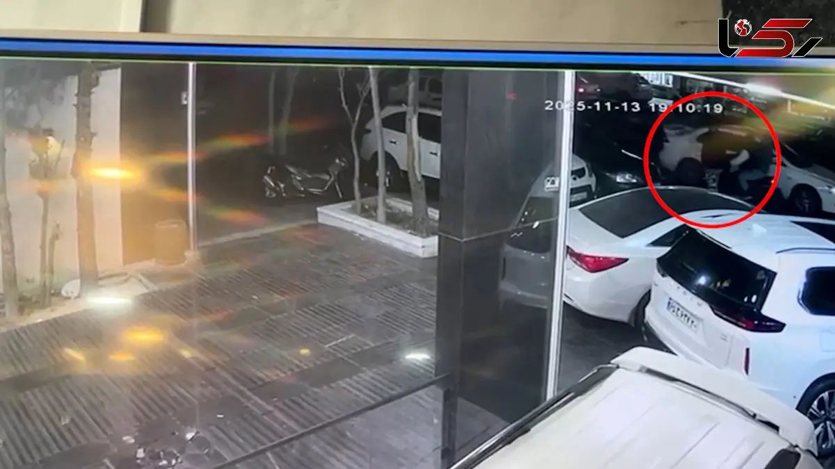 فیلم/ لحظه موبایل قاپی در سعادت آباد که دزدانش 60 دقیقه ای بازداشت شدند