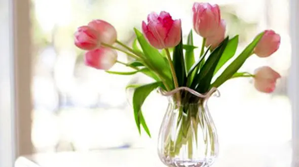 دکوراسیون های بهاری منزل که این بهار مد شده اند! +عکس