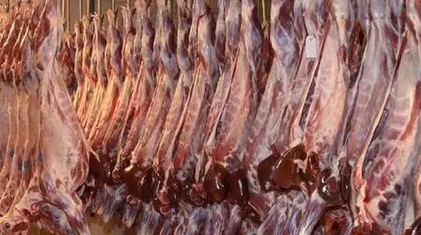 گوشت گوسفند روز به روز گرانتر می شود / دیروز 42 هزار تومان امروز 43 هزار 