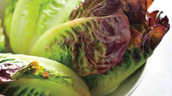 ماسک کاهو برای روشن کردن پوست صورت