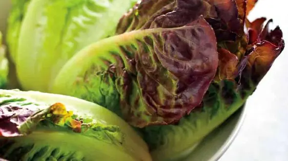 ماسک کاهو برای روشن کردن پوست صورت