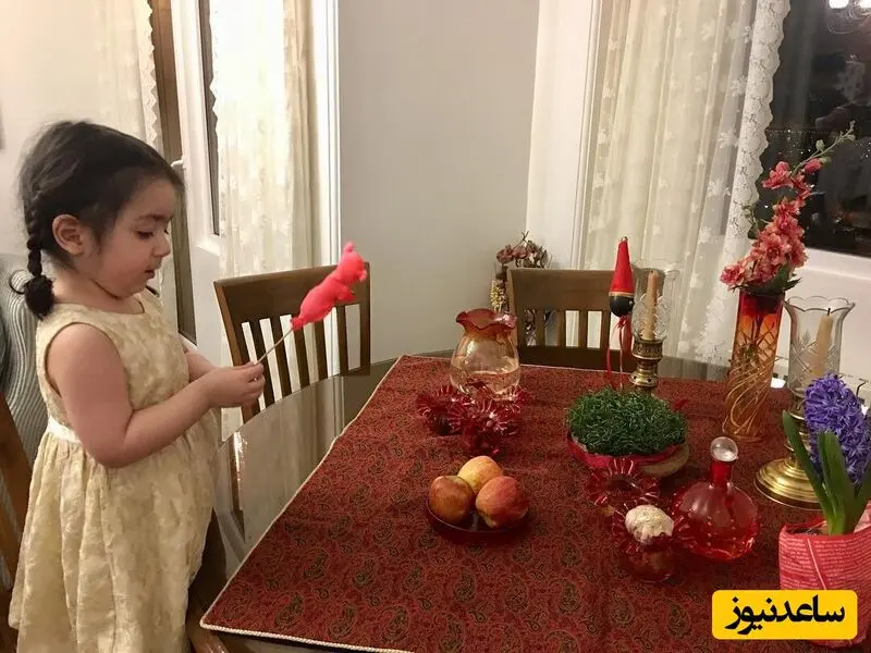 نسرین نصرتی